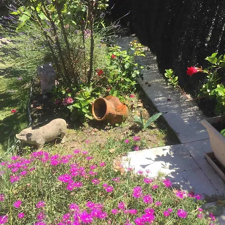 Maison Privative Avec Jardin Cloture Privatif - Piscine Soustons