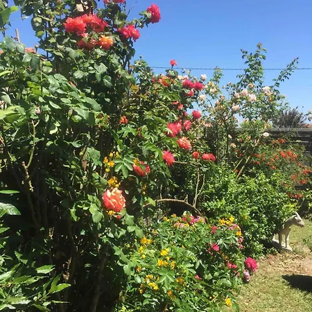 Maison Privative Avec Jardin Cloture Privatif - Piscine
